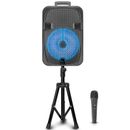 Technical Pro Rechargeable 12 Inch Bluetooth LED Speaker, FM Radio, LED Woofer