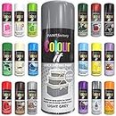 Classic Signature - 1 x All Purpose Light Grey Aerosol Spray Paint 400ml Quick Drying Spray, Fast Dry and Excellent Coverage for Metal, Wood, Plastic and More