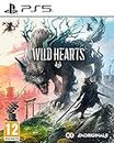 Wild Hearts PS5 | VideoGame | English