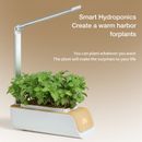 Hydroponics Growing System Smart Indoor Garden Germination Plant Kit Grow Light