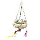 MeeTo Artificial PVC Mini 5 Birds with Hanging Nest for Home, Lawn, Garden, Party Decoration Accessories Pack of 1, Multi-Colour
