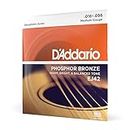D'Addario Guitar Strings - Phosphor Bronze Resophonic Guitar Strings - EJ42 - Rich, Full Tonal Spectrum - For 6 String Guitars - 16-56 Medium Resophonic