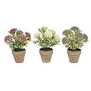 Pure Garden Faux Flowers – Assorted Natural Lifelike 10" Floral Arrangement and Imitation Greenery with Vases for Home or Office Decor (Set of 3)
