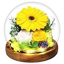 MOKOQI Sunflower Gifts for Women Mom Birthday Gifts for Her Preserved Real Flowers in Glass Dome with LED Strip, Eternal Flowers Gifts for Wife Girlfriend Mom on Mother Day Birthday Valentine Day