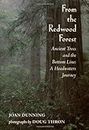From the Redwood Forest: Ancient Trees the Bottom Line and the Ascent of an Activist