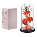 oridom Preserved Flower Gift, Light Up Rose in Glass Dome, Eternal Forever Rose Flower Gifts for Her, Grandma, Mother’s Day, Valentine’s Day, Anniversary, Birthday, Christmas Decorations, Red