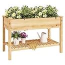 DlandHome Wooden Raised Garden Bed, Outdoor Garden Bed Planter Box for Vegetables, Flowers & Herbs Grow, Standing Raised Beds for Backyard, Lawn,30CXDJPL02PE-DCA-N