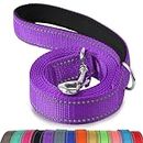 Joytale Padded Handle Dog Lead,Double-Sided Reflective Nylon Dogs Leads for Training,Walking Leash for Small, Medium Dogs, 1.2m × 2cm, Purple