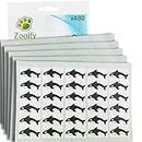 480 x Aufkleber - killerwal orca (38 x 21 mm). Hochwertige selbstklebende Etiketten mit Tiermotiv von Zooify.