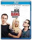 The Big Bang Theory: The Complete Season 1 (2-Disc Box Set)