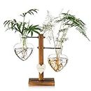 Glass Plant Terrarium with Wooden Stand, Creative Double Heart Glass Hydroponic Vases, Modern Plant Propagation Station Desktop Planter Bulb Vase for Home Garden Office Decoration