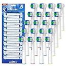 GENKENT Replacement Brush Heads Compatible With Oral B Toothbrush Precision Clean 20 Brushes
