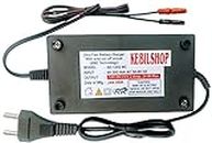 Kebilshop Dc 12 Volt 2 Amp Battery Charger Ultra Fact Batterry Charger with Auto Cut Off for 12 Volt Batterry (Black Color)