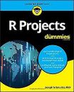 R Projects For Dummies (For Dummies (Computer/Tech)... | Buch | Zustand sehr gut