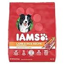 IAMS Proactive Health Minichunks Dog Food Dry Adult, Lamb & Rice Recipe, 13.6kg (30LB) Bag