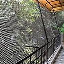 EASYSHOPPINGBAZAAR Pigeon Net/Bird Net 10 X 12 FT 304.8cmX 365.76cm 15 Ply White (Clips and Tying Ropes Include)