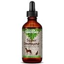 Animal Essentials Super Immune Support for Dogs & Cats, 2 fl oz - Ol Complex, Promotes Healthy Immune System