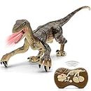 Remote Control Dinosaur Toys - (Rechargeable) 2.4Ghz RC Walking Robot Velociraptor with LED Eye, Roaring Sound, Shaking Head & Tail, Jurassic Dino Electronic Toys Gifts for Boys & Girls 5-9 Years Old