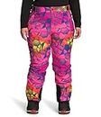 THE NORTH FACE Women's Plus Freedom Insulated Pant, Mr. Pink Pink Expedition Print, 3X Regular