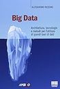 Big data. Architettura, tecnologie e metodi per l'utilizzo di grandi basi di dati