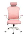 TIOG Plastic Flexo Ergonomic Office Chair/Study Chair/Computer Chair (Pink, with Headrest)