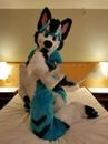Blue Long Fur Husky Dog Fursuit Mascot Costume Suit Cosplay Fancy Dress Adults
