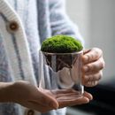 Moss Terrarium-Sphere Vase Home Decor Flower Planter Soft Mountain Shaped