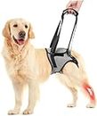 Dog Lift Harness for Back Legs, Dog Sling Carrier Dog Hip Support Brace, Adjustable Help em up Harness for Elderly Injured Arthritic Senior Disabled Dogs, Pet Auxiliary Harness for Walking Climbing