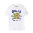Teenage Mutant Ninja Turtles Mens 1984 Collegiate Short-Sleeved T-Shirt NS7512