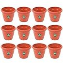 TrustBasket UV Treated Plastic Round Pot (6 Inches)-Terracotta Color -Set of 12 | Heavy Duty Highly Durable Plant Container Gamla for Indoor Home Decor & Outdoor Balcony Garden