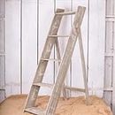 The Satchville Decorative Step Ladder Display Stand