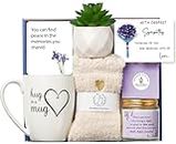 Iris Flowers Sympathy Gift Baskets Condolences Gifts for Loss of Loved One Unique Bereavement Memorial Gifts Ideas in Memory of Mother Dad Husband Sister Friend, Rememberance Grief Gifts Funeral