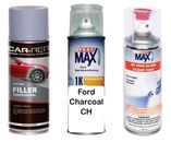 Auto Touch Up Paint Can for Ford Charcoal CH Plus 2k Clear Coat & Primer