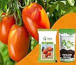 Tomato Seeds for Home Garden | Farming | Vegetable | Hybrid | Kitchen | Planting | Terrace | Balcony | Eating | Solanum Lycopersicum | Tameta | Tamatar | Long - 0.05 Gram : 163 Seed