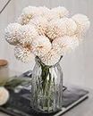 SATYAM KRAFT 5 Pcs Artificial Chrysanthemum Ball Hydrangea Flower Stick for Home, Office, Bedroom, Balcony, Living Room Decoration(Pack of 5) (Off White)(Without Vase Pot)