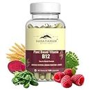 Rasayanam Plant Based Vitamin B12 supplement for Men & Women (120 Capsules) | Organic Formulation for Vegetarians & Vegans to support Nervous System & Brain Function