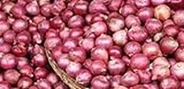 A.R.L. International Premium Organic Fresh Sambhar Onion/Small Red Onions, Shallots, Chuvannulli (2.5 KG)