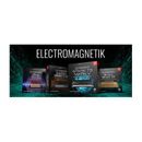IK Multimedia Electromagnetik SampleTank 4 Virtual Instrument Collection (Download) ST-4MGTK-DID-IN