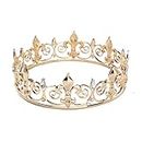 SNOWH Full King Crown Gold - Men's Crowns and Tiaras, Metal Birthday Crown, Prom Hair Accessories Costume Party Decorations for Adults and Boys