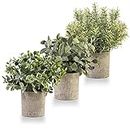 Small Fake Plants, 3Pcs Artificial Hanging Plants in Pulp Pots Indoor Outdoor Potted Faux Greenery for Bedroom Aesthetic Home Kitchen Farmhouse Decor