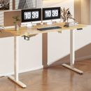 43"/55"/63" Home Office Electric Standing Desk Height Adjustable Computer Desk