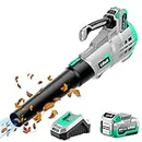 Litheli 20V Cordless Leaf Blower, Battery Leaf Blower for Cleaning Leaves, Dust, Snow on Lawn, Yard, Deck, with 4.0Ah Battery & Charger Included