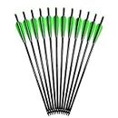 ELONG 12PCS Crossbow Bolts Arrows 18" Aluminum Shafts with 4" Plastic Vane for Outdoor Hunting or Targets Practice with Changeable Tips