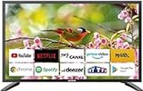 Heming Smart TV 18,5" (47 cm) Android Connecté WiFi avec Bluetooth - 12V/24V/220V - Camping Car Camion Fourgon Poids Lourd Caravane Cuisine - Garantie 2 Ans