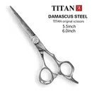 TITAN 6 inch Cutting Thinning Tool máquina de cortar cabelo Hair Scissors Stainless Steel Salon