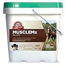 Formula 707 MuscleMx Equine Supplement, 10lb Bucket – Conditioning Support and Muscle Builder for Horses with Lysine, Gamma Oryzanol, Creatine & OKG