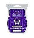 Scentsy Bar (Blueberry Cheesecake)