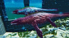 ARK Survival Ascended PvE PC/XBOX/PS5 Mosasaurus (Mosa) TOP STATS 40k Hp  737 M
