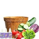 City Greens Garden Starter Kit | Seed Starter Kit | 4 in 1 Salad DIY Gardening Kit - Lettuce, Tomato, Red Cabbage, Cucumber |Total No of Seeds - 40 | Perfect Gardening Kits For Kids.