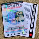 Service Dog ID Card Customized Holographic 